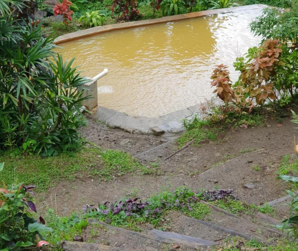 Ti Kwen Glo Cho主图