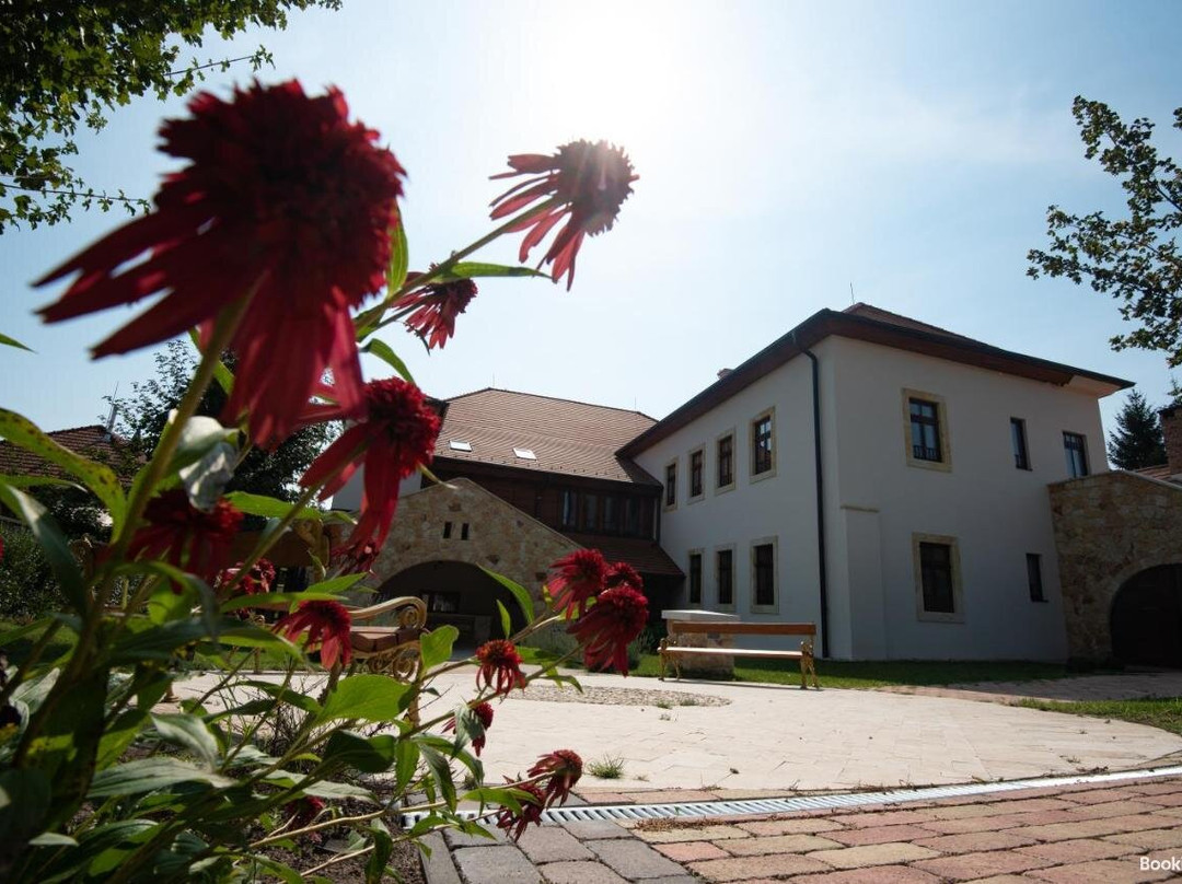 Grossmann Ház主图