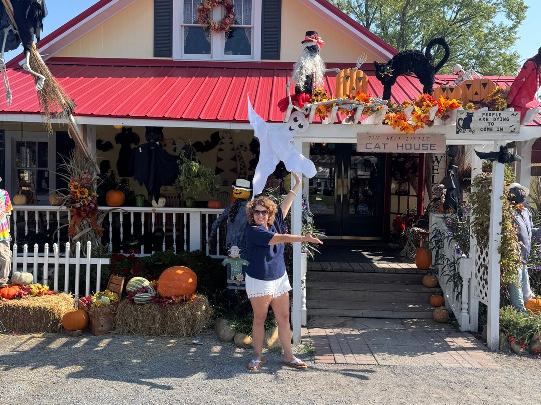 Smoky Mountain Cat House-皮金福奇必去景点