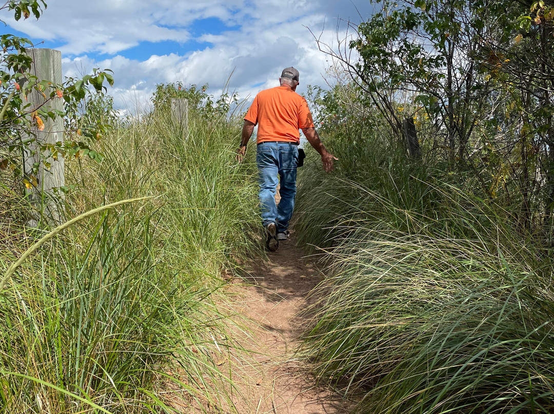 Park Point-德卢斯必去景点