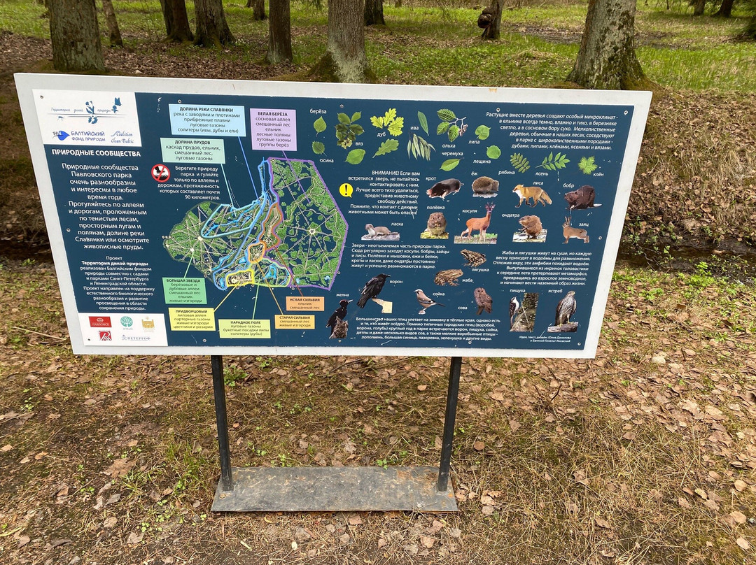 Pavlovsk Park景点图片