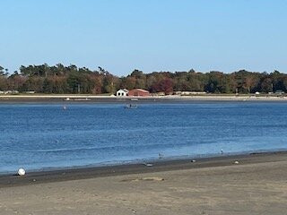 Ferry Beach景点图片