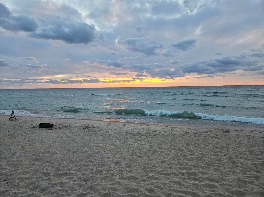 Lake Michigan Beach Park景点图片