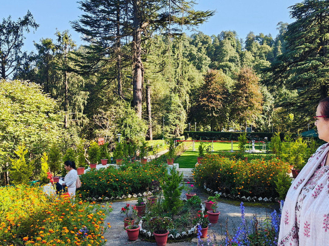 Rashtrapati Niwas, Mashobra, Shimla景点图片