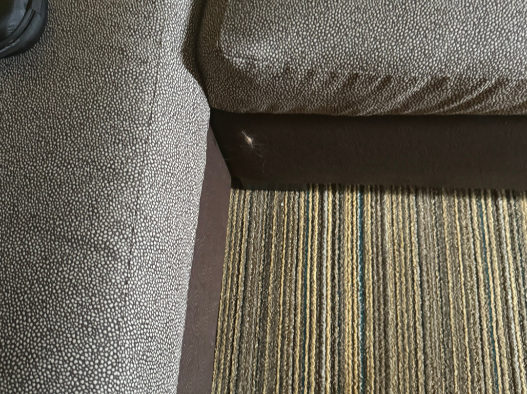 Residence Inn by Marriott Houston Sugar Land/Stafford主图