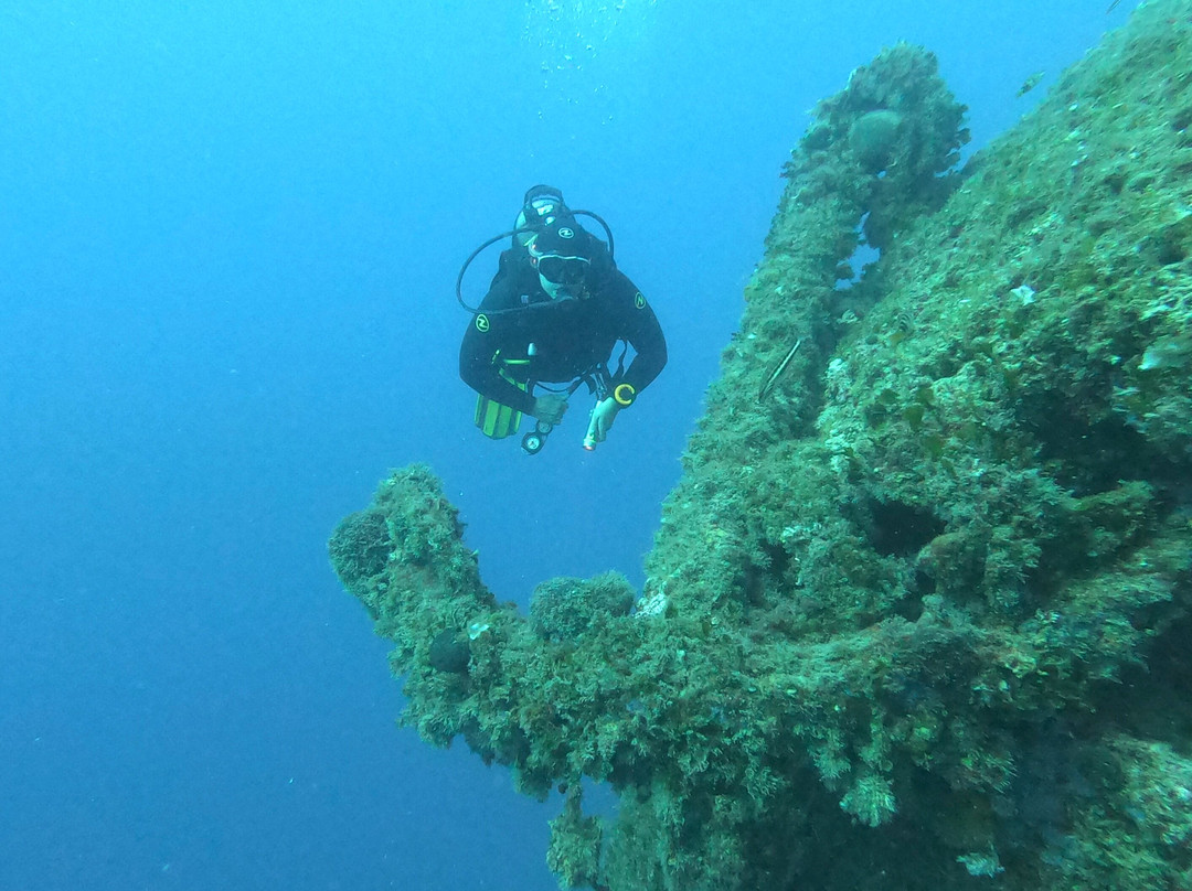 Diving Center Viking Hvar景点图片