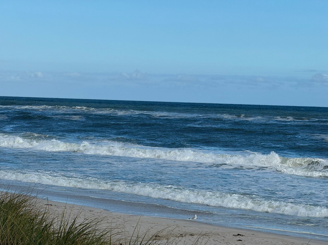Smith Point Beach景点图片