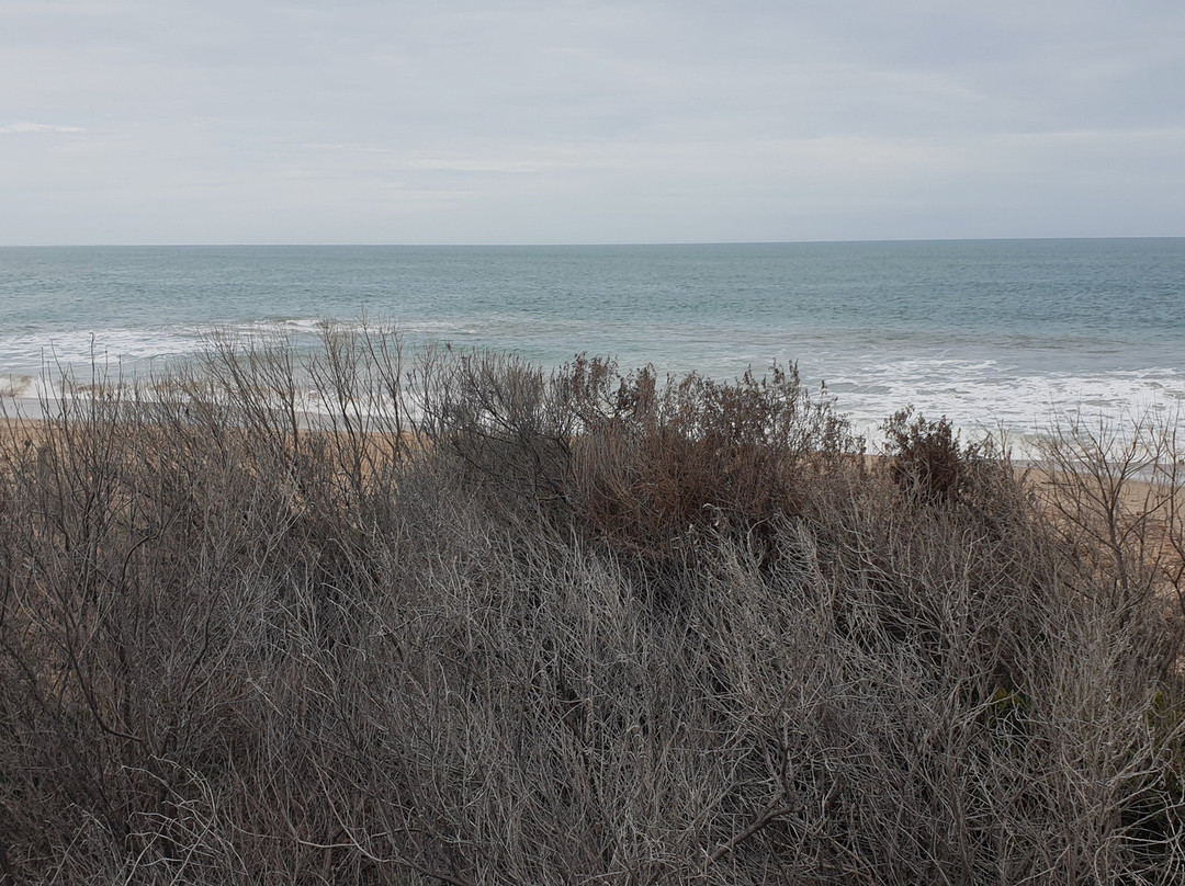 Basham Beach Conservation Park-Port Elliot必去景点