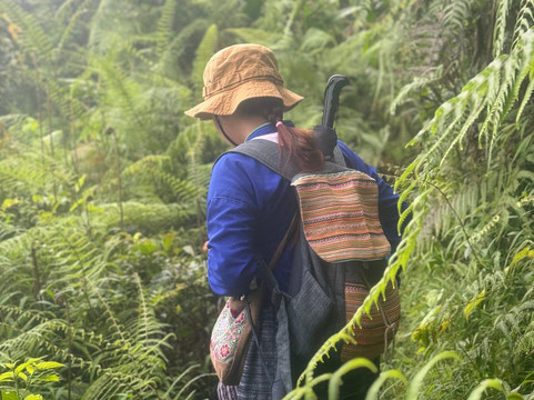 Trekking guide Show Sapa-沙巴必去景点