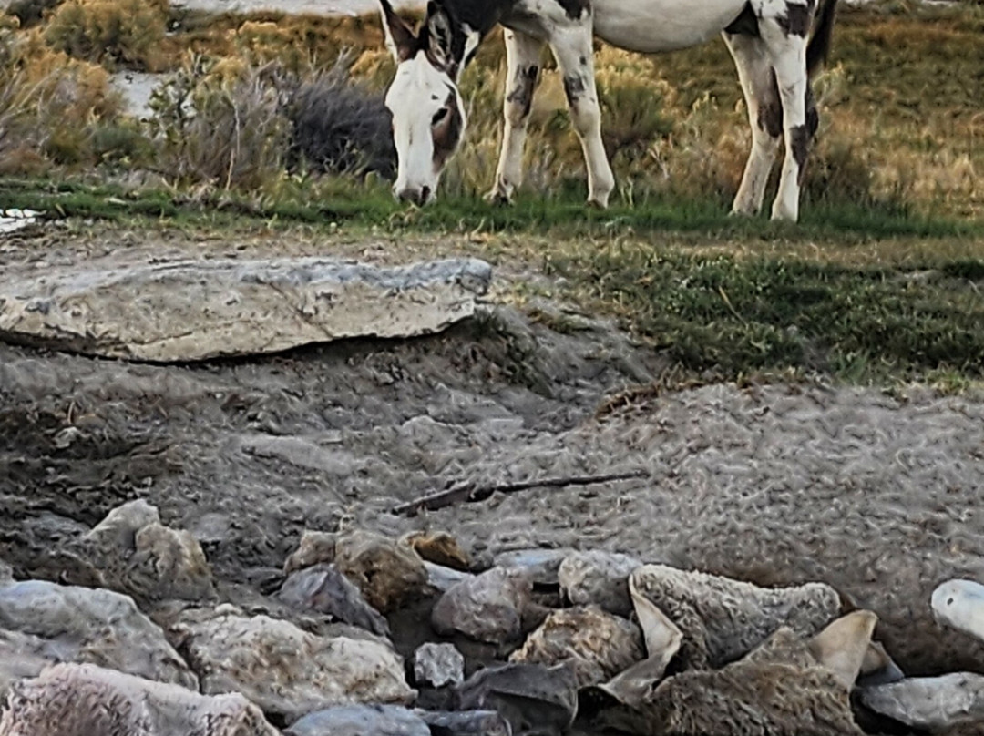 Spencer Hot Springs-Austin必去景点