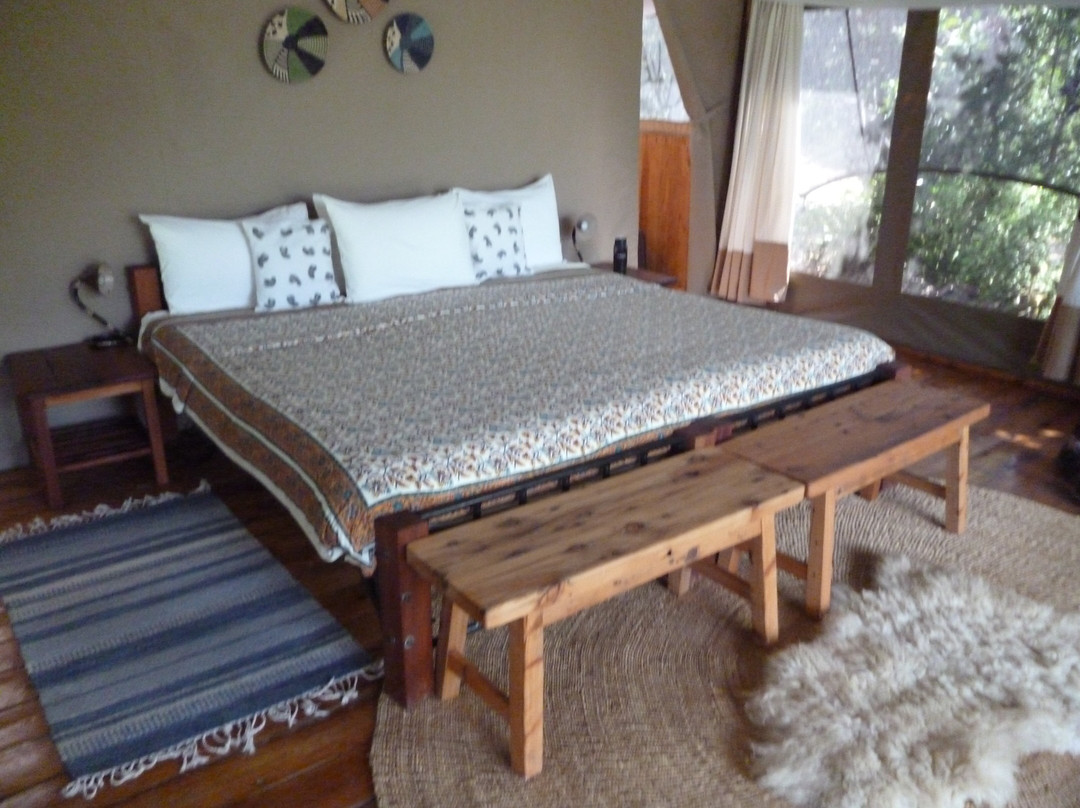 Ekorian's Mugie Camp主图