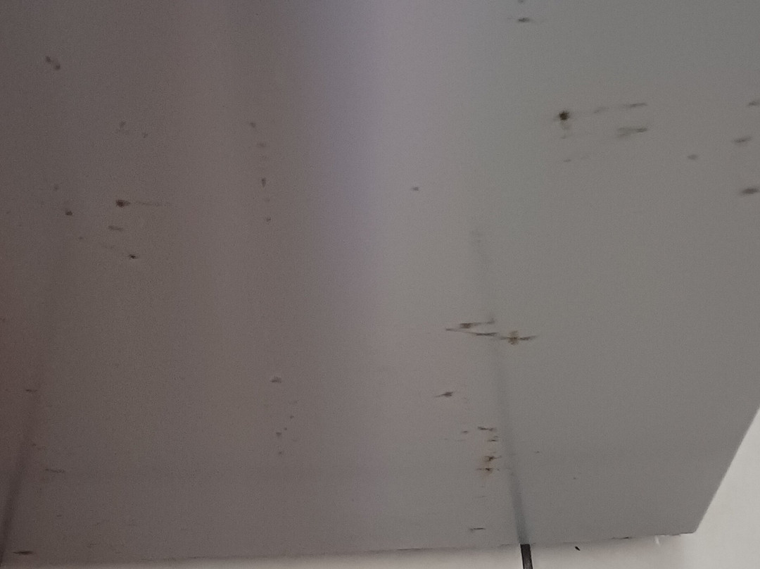 Hanneman Holiday Residence主图