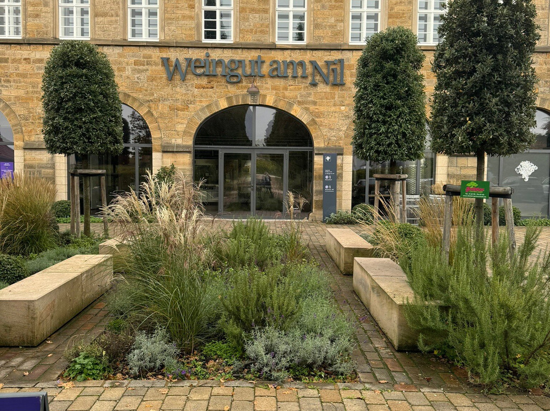 Weingut am Nil主图