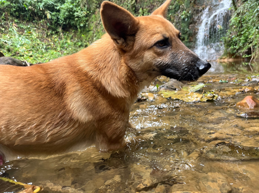 Caminhos Do Petar-Apiai必去景点
