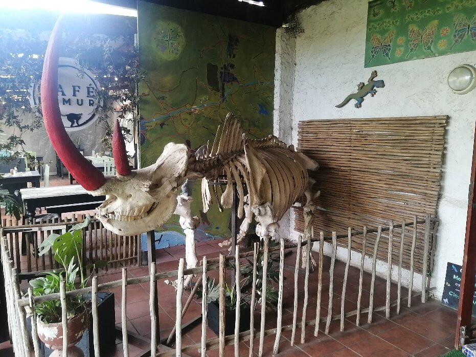 Exotic Animal World-Klapmuts必去景点