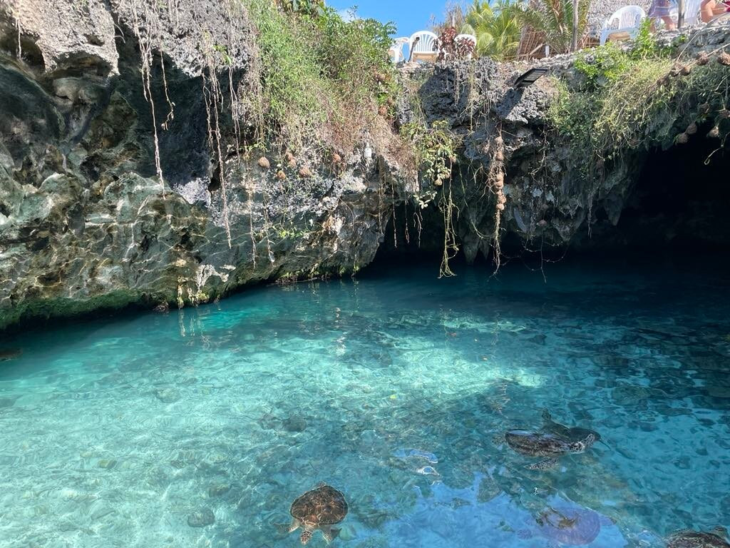 Salaam Cave Aquarium-Kizimkazi Dimbani必去景点