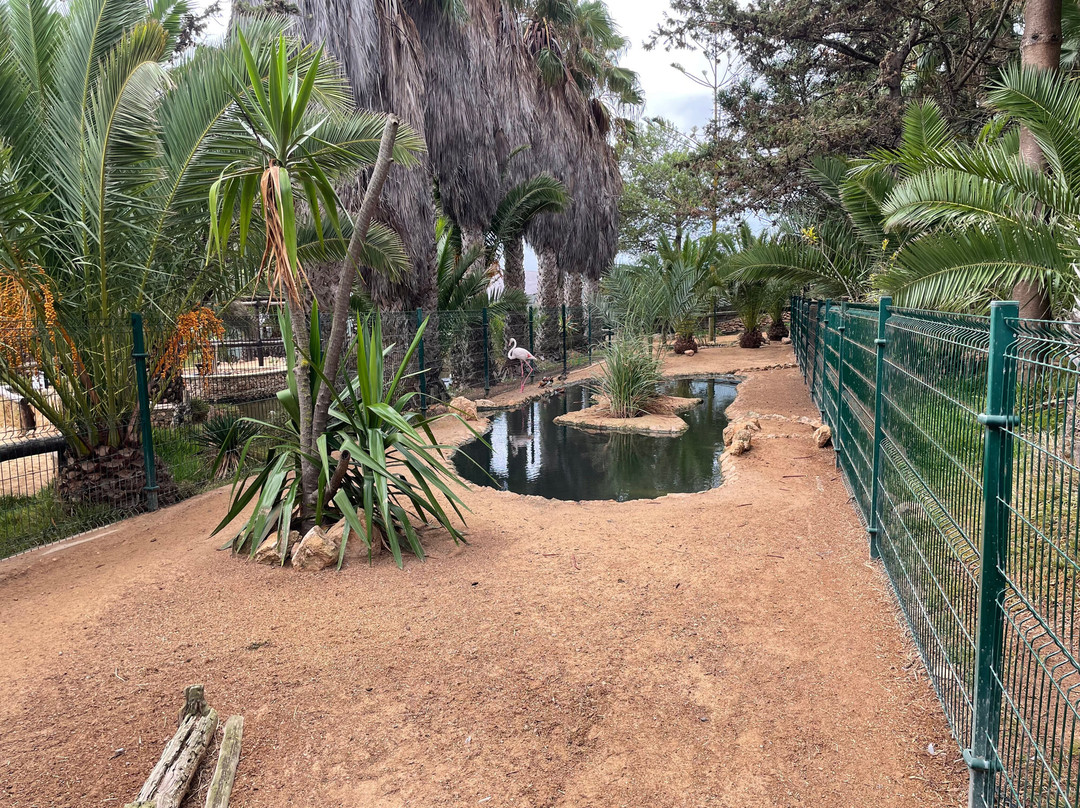 Dunas Viagens e Turismo-Porto Santo Island必去景点
