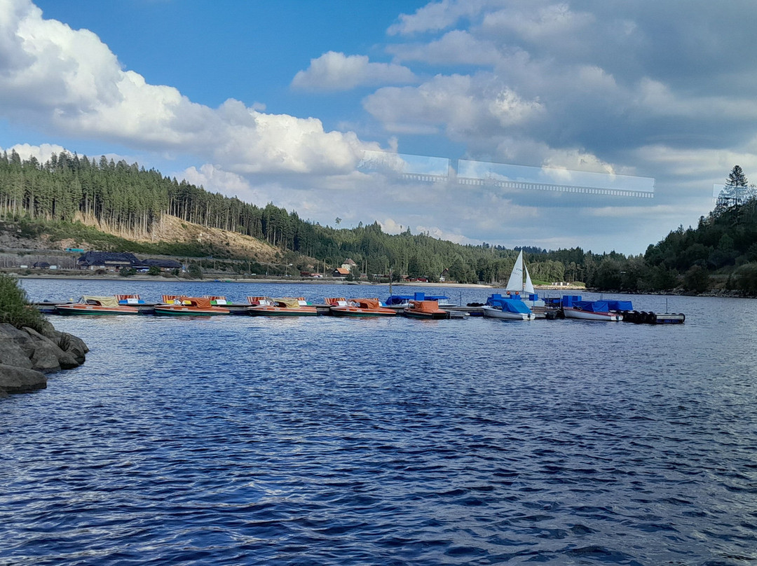 Schluchsee Rundfahrten景点图片