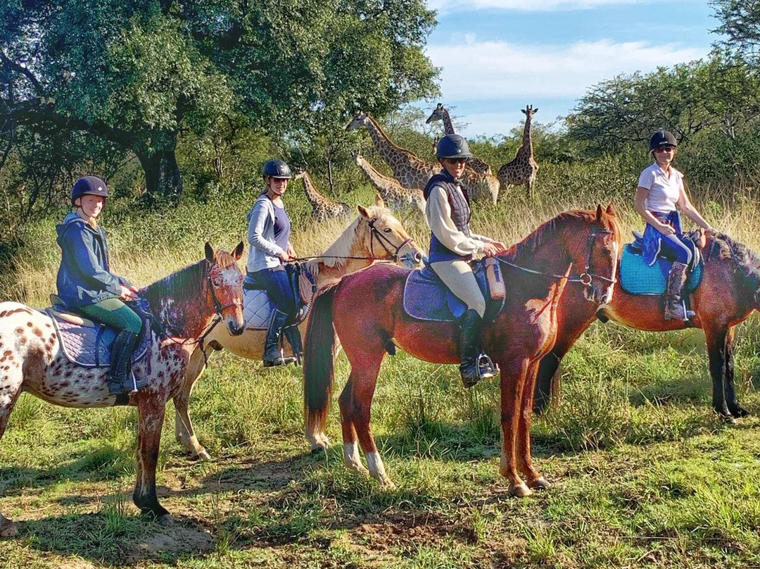 The Horse Safari Company景点图片