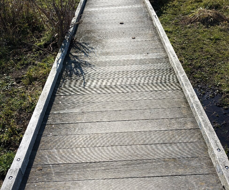 Northern Natural Flower Garden-根室市必去景点