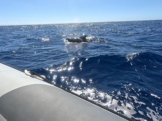 XpointMadeira - Eco tours-沙尔必去景点