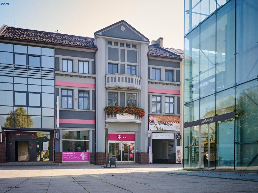 Central Apartments