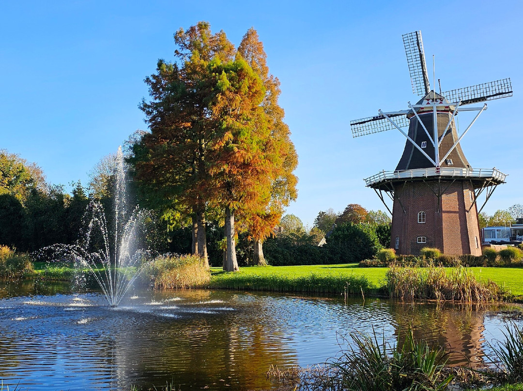 Molen "De Onrust" (1850)景点图片