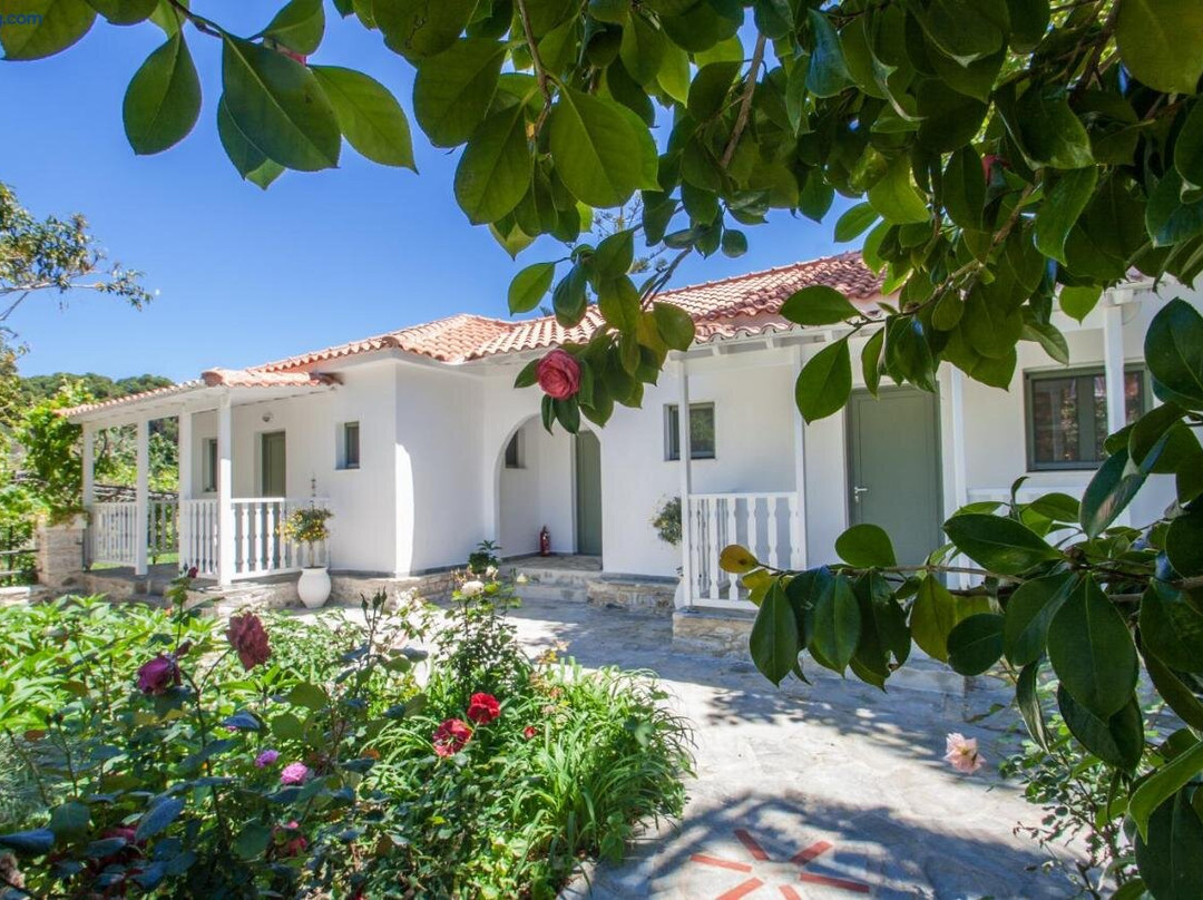 Superior 3-Bedroom Villa Cassiope with Private Pool and Breathtaking Sea Views