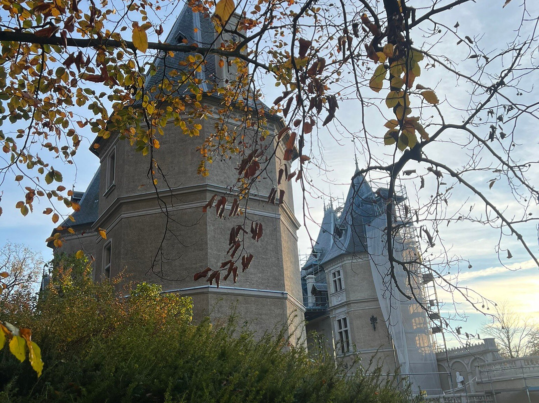 Goluchow Castle景点图片