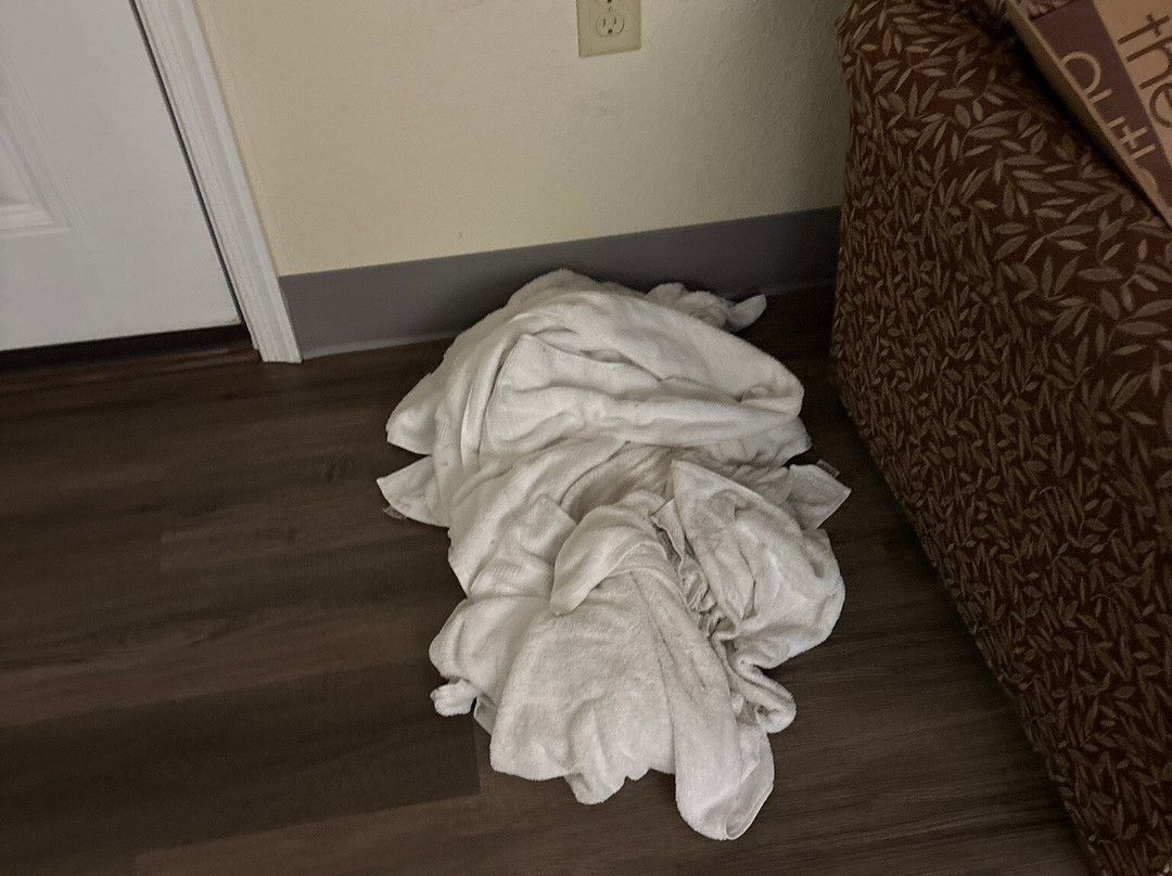 Affordable Suites of America Quantico主图