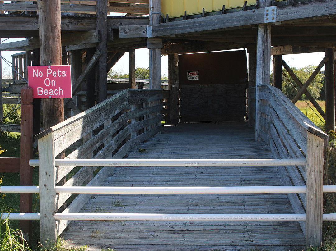 Grand Isle State Park景点图片