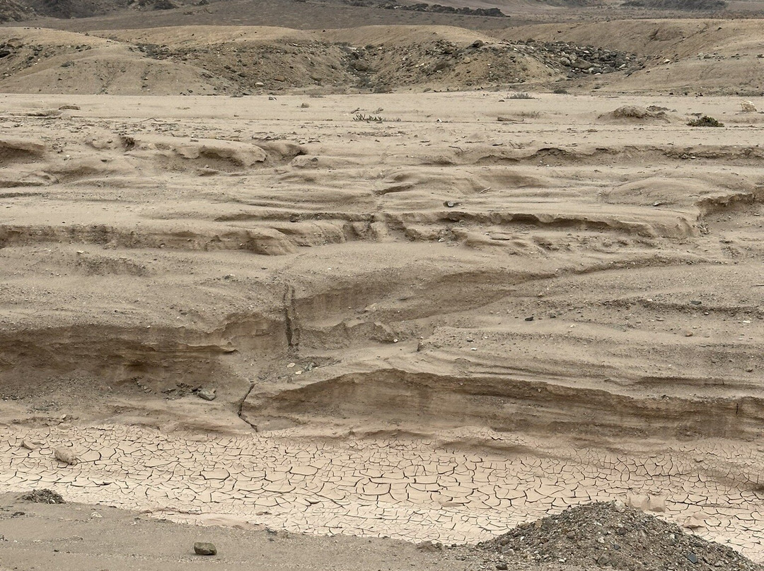 Pan de Azucar National Park-Chanaral必去景点