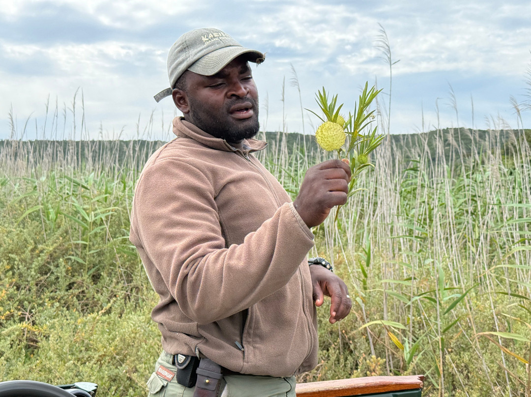 Kariega Game Reserve - River Lodge主图