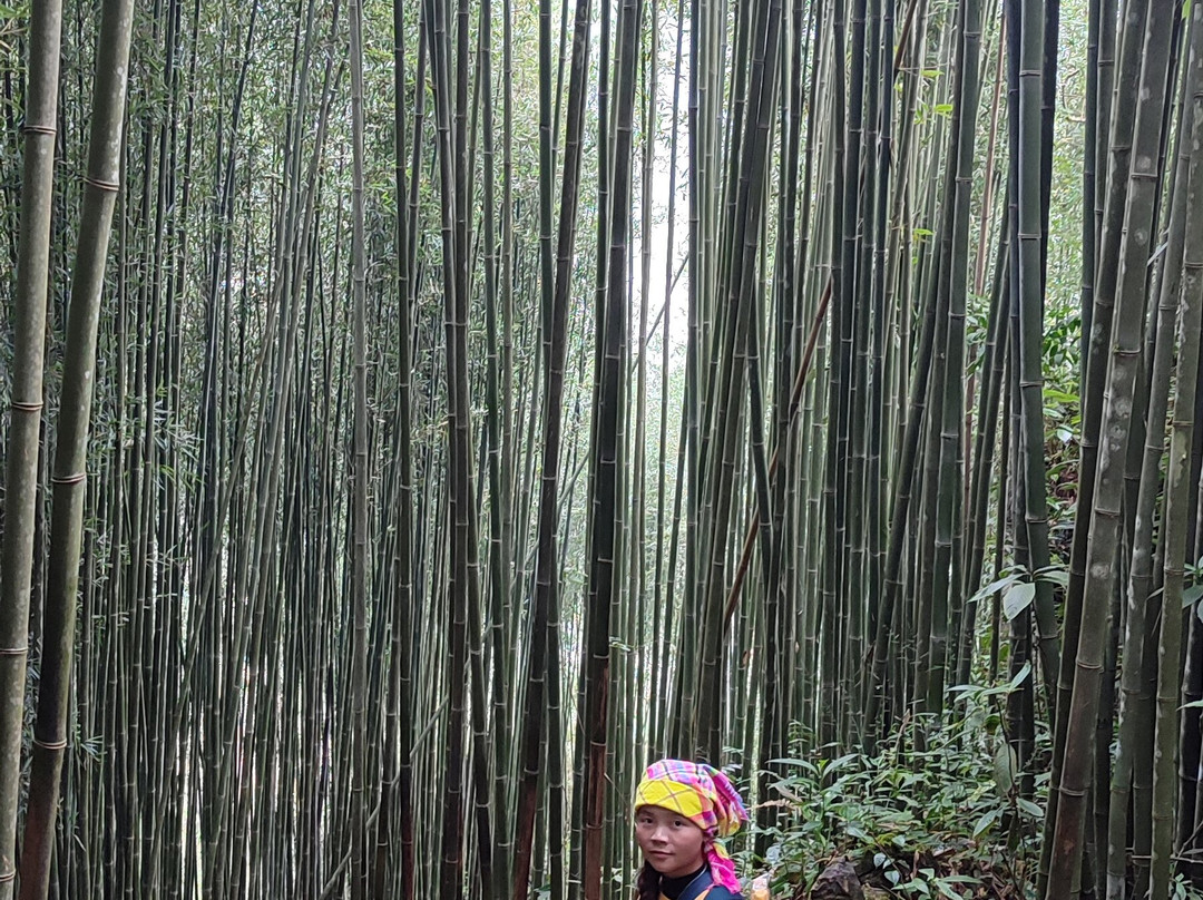 Laslas H'mông Guide景点图片