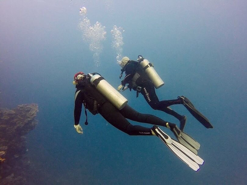 Pharaoh Dive Club-艾尔可西利亚必去景点