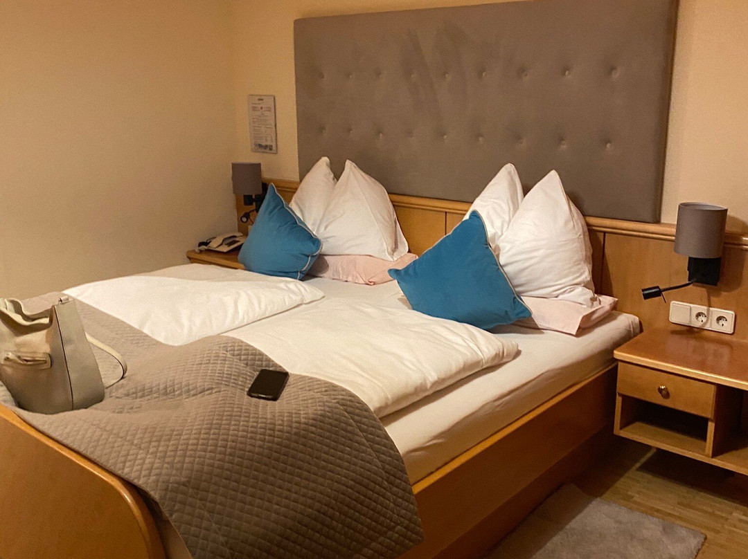 Hotel Restaurant Zollner主图