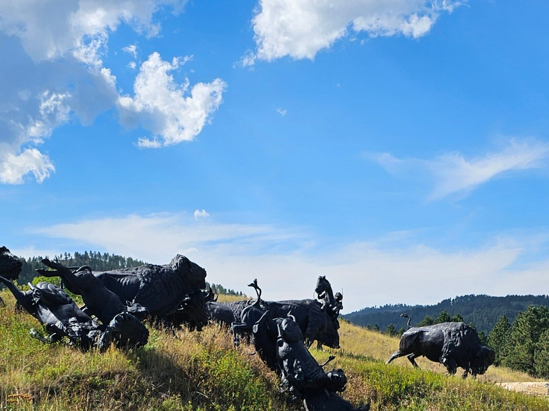 Tatanka: Story of the Bison景点图片