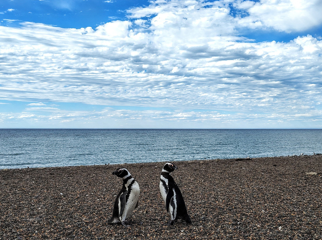Reserva Natural Estancia San Lorenzo-马德林港必去景点
