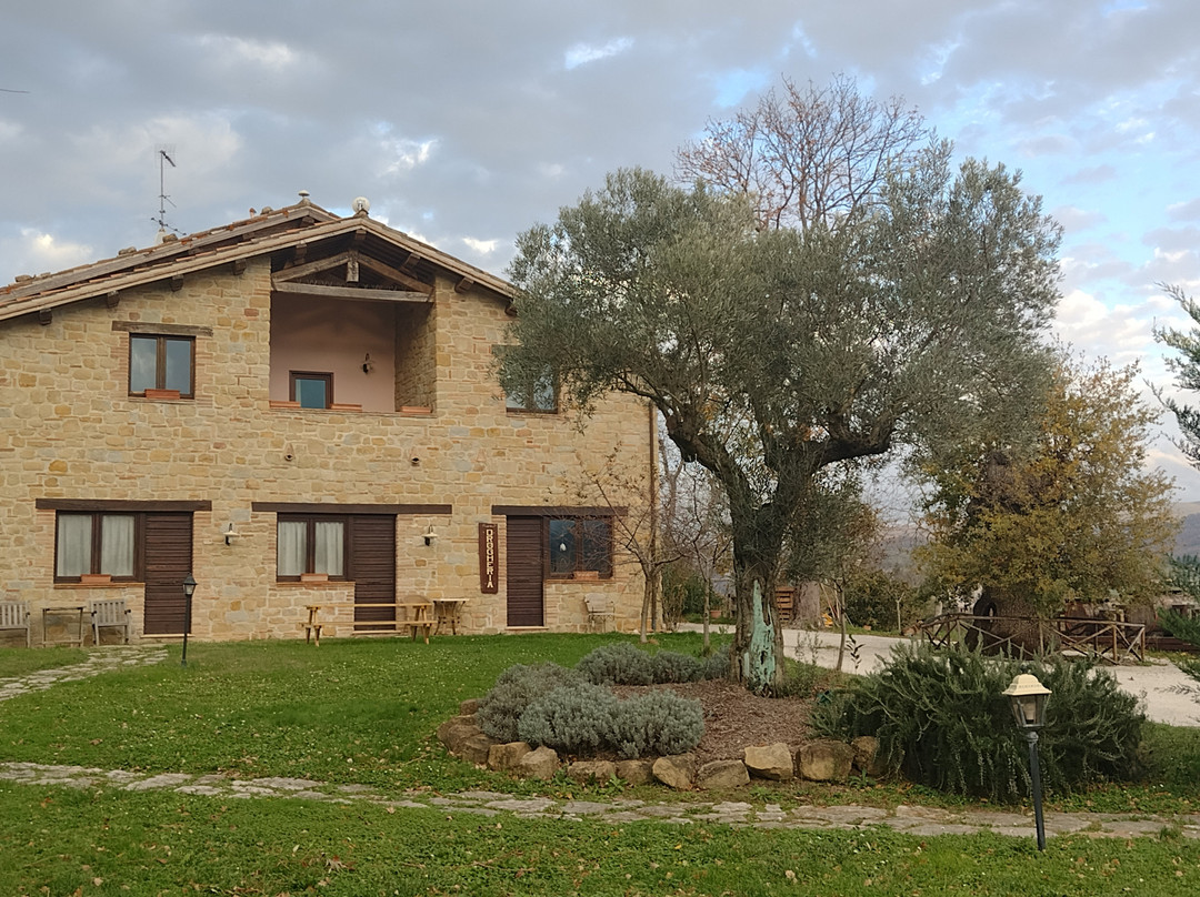 Country House Le Calvie主图