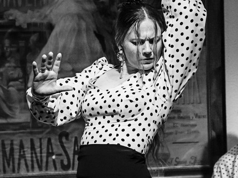 Flamenco Por Un Día-塞维利亚必去景点