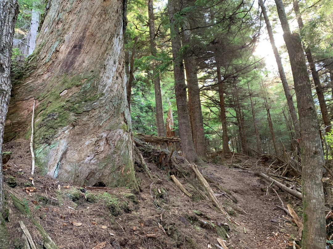 Regier Lake Trail-Daajing Giids必去景点