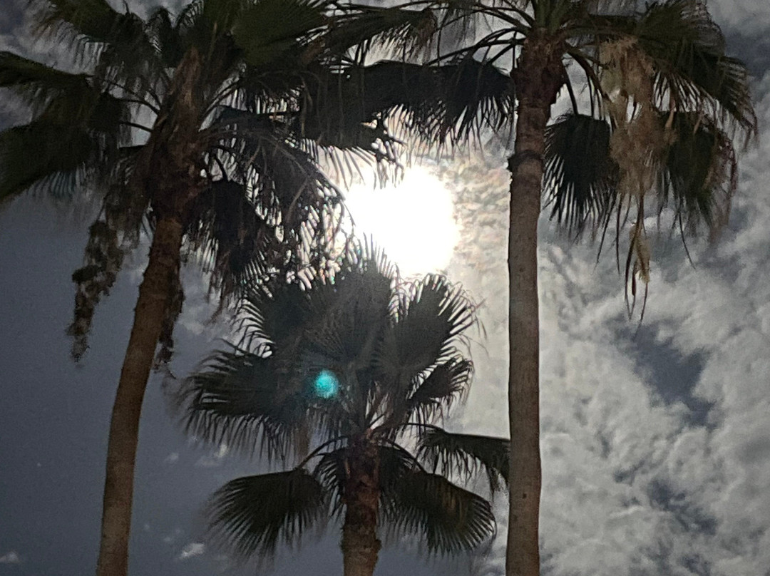 Misiones del Cabo主图