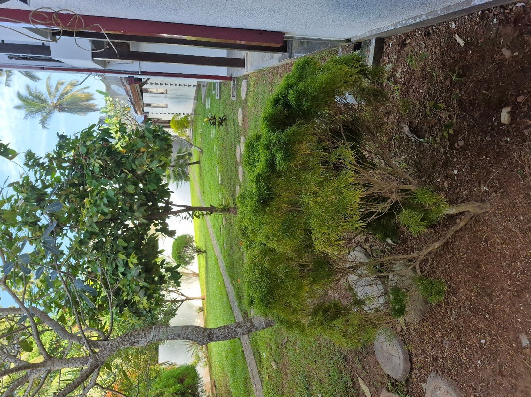 Tangalle Lagoon-唐卡拉必去景点