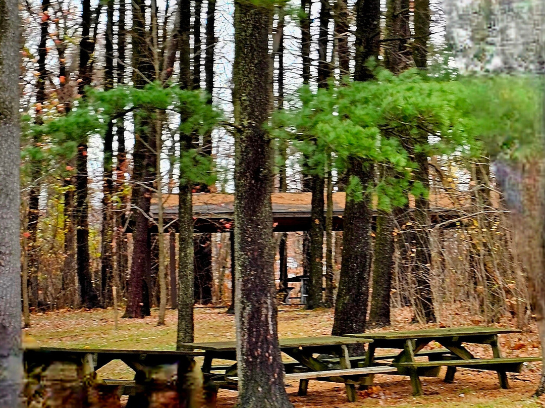Krause Memorial Park