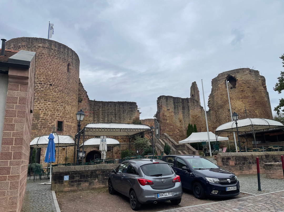 Burg Neuleiningen景点图片