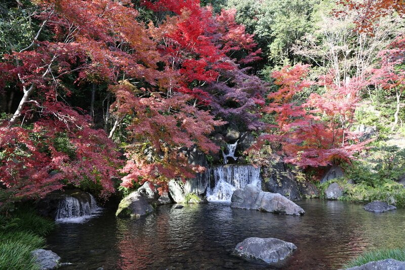 Japanese Garden-吹田市必去景点
