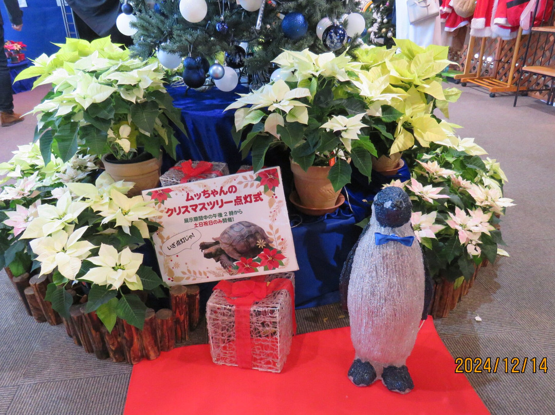 Tropical Environment Greenhouse Dome-板桥区必去景点