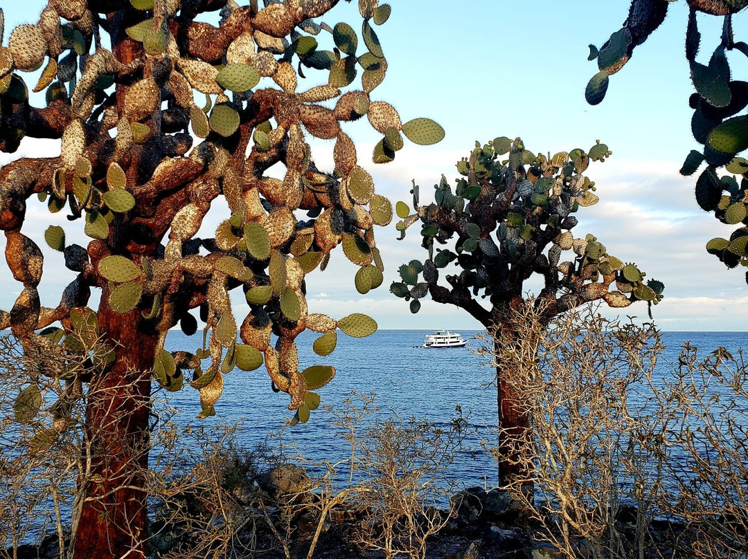 Monserrat Galapagos Cruises景点图片