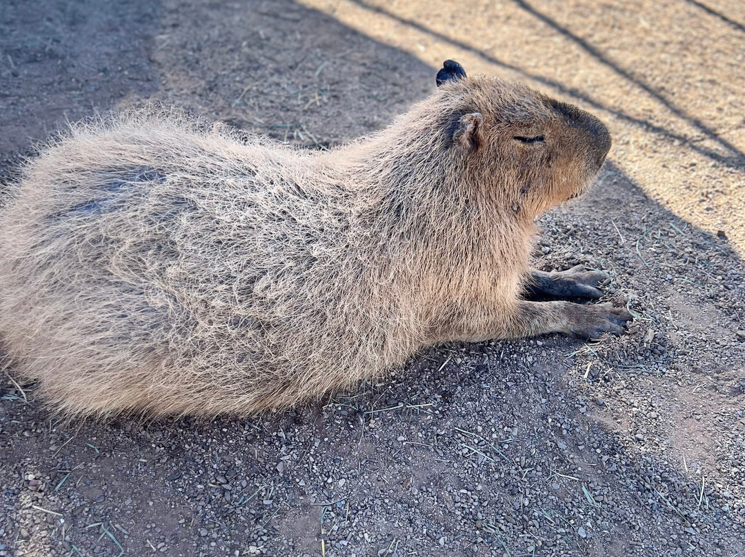 Ghost Ranch Exotics-马拉纳必去景点