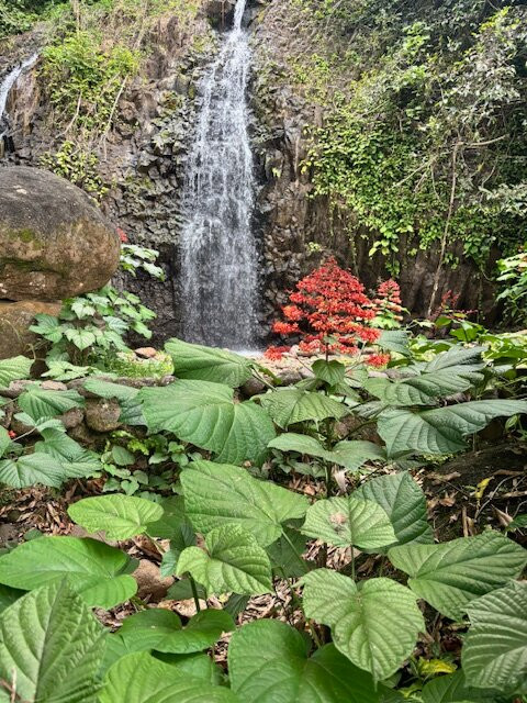 Tahiti Eden Tours景点图片